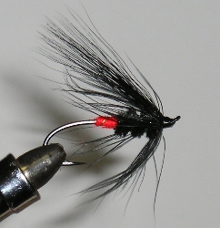 Hoh Bo Spey Fly - The Fly Fishing Shop